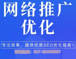 武漢網(wǎng)站SEO優(yōu)化