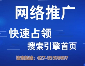 武漢網絡推廣