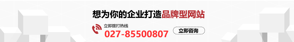 武漢外貿網站建設